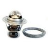 FISPA 94.807 Thermostat, coolant